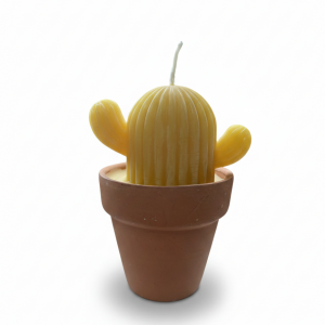 Vela con forma de cactus en su propia maceta