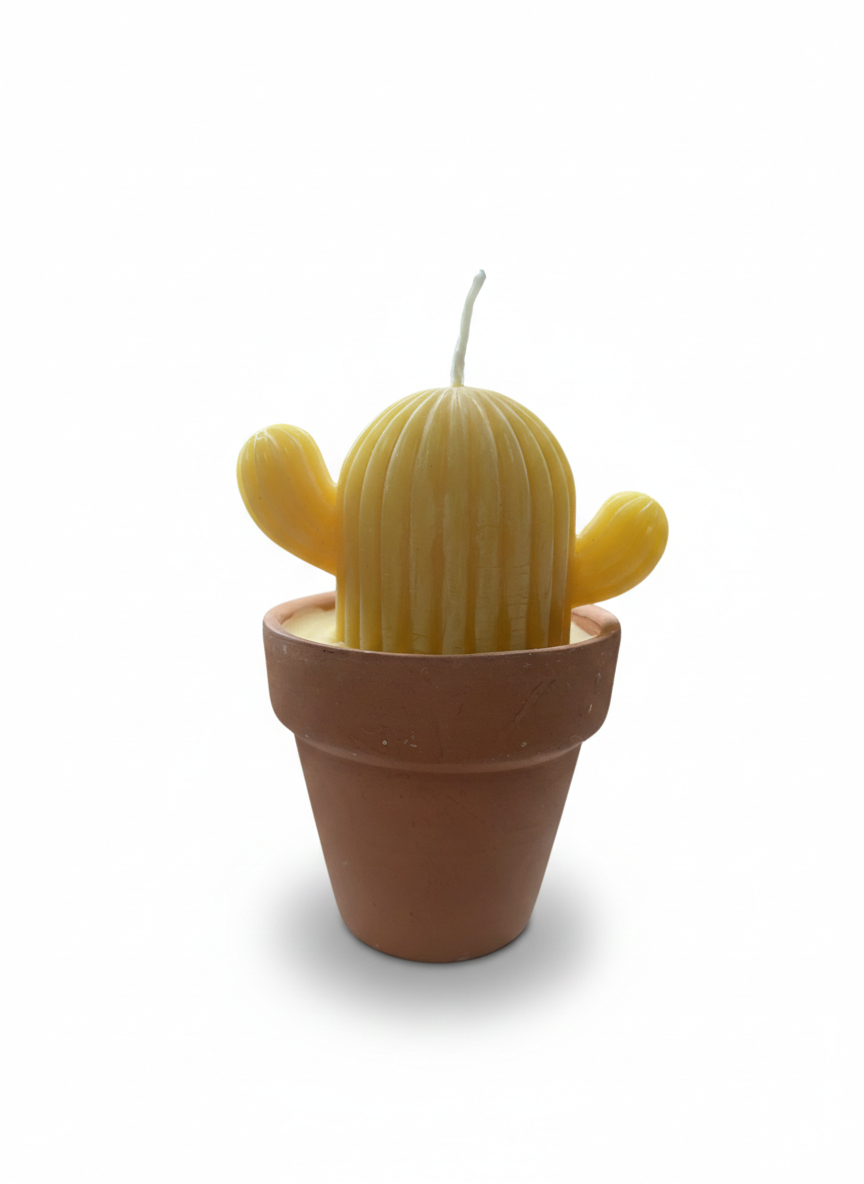 Vela con forma de cactus en su propia maceta